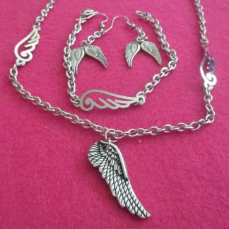angel wings set